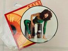 KATE BUSH - The Kick Inside - Rare 1st Press UK Picture Disc LP - EMCP 3223