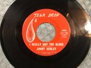 Jimmy Donley: I Really Got The Blues RARE BLUES 45 ROCKABILLY Vinyl Record Vg+