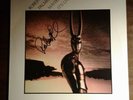 Robert Palmer signed  