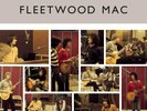 FLEETWOOD MAC 'THE BEST OF PETER GREEN'S FLEETWOOD MAC' Double VINYL LP (2020)