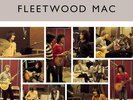 FLEETWOOD MAC - The Best Of Peter Green's Fleetwood Mac - 2LP - Vinyl