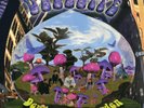DEEE-LITE: DEWDROPS IN THE GARDEN (Ltd.Ed.180gm 2LP Holland Import)(GoD2019)