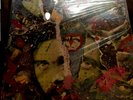Roky Erickson The Evil One 2x Vinyl LP Record & Book  13th Floor Elevators  NEW
