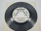 The Basement Wall SENATE S2109 Never Existed Taste of a Kiss Promo Garage Psyche