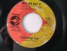 The Cattanooga Cats 7