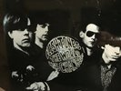 FLESHTONES-THE WORLD HAS CHANGED- LTD 300 COPIES GARAGE ROCK LP