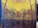 AMERICAN BLUES-Do Their Thing -Psych LP-Original US Rare-UNI-1968/ VG/ ZZ TOP