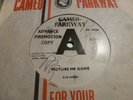 EVIE SANDS PICTURE ME GONE 1966 CAMEO PARKWAY C 413 DEMO NORTHERN SOUL CLASSIC