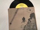 Pearl Jam Merkin Ball 1995 I Got ID/Long Road 45RPM Epic Records