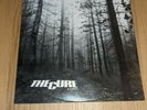 The Cure A Forest Original 12