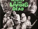 NIGHT OF THE LIVING DEAD Soundtrack OST - WaxWork - Grey Marbled Subscriber Edit