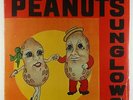 Sunglows - The Original Peanuts LP - Disco Grande  SEALED