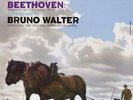 Bruno Walter - Beethoven Symphony No. 6 in F Major, OP 68 CSO - 200g 45RPM QRP