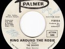 Echoey Garage Pop Jangle THE SHAGGS Ring Around / The Way I Care 45 Palmer HEAR