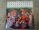 SIGNED Presidents Of The United States Of America Green Vinyl RECORD Sold Out