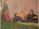 DAVE DEE DOZY BEAKY MICK AND TICH IF NO-ONE SANG LP FONTANA UK 1968 PRO CLEANED