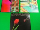 3 x 1980's Vinyl LP's A FLOCK OF SEAGULLS / THE STORY OF A YOUNG HEART / LISTEN