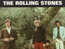 Rolling Stones 45 Paint It, Black/Stupid Girl LONDON M-/VG+ picture sleeve 404