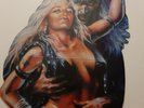 Warlock triumph and agony LP vinyl picture limited edit 500 ex. display Doro
