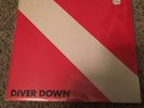 Van Halen Diver Down Vinyl LP