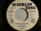 The Channels I Really Love You b/w  What Do You Do- Whirlin Disc 107 45 7