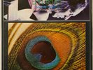 EDNARDO PESSOAL DO CEARA PAVAO MYSTERIOZO  LP RCA 1974 ORIG BRAZIL PSYCH FOLK