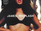 James - Whiplash - Double LP Vinyl - New