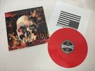 Slayer vinyl lp record. Rare . Metal,south,god, Metallica,reign