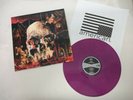 Slayer vinyl lp record. Rare . Metal,south,god, Metallica,reign