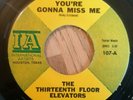 Thirteenth Floor Elevators 7