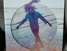 Lenny Kravitz - Raise Vibration 2 x 12