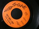 SYNG MCGOWAN THAT'S WHAT I WANT 45 RECORD PEGGY DID ORIGINAL