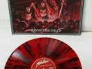 Stallion From The Dead Red Black Splatter Vinyl LP Record new