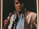 Elvis Presley Madison Square Garden RCA Photo - 8 X 10