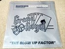 Beastie Boys - Blow Up Factor Volume 1 Scientists of Sound 12