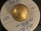 RARE DOO WOP MORRY WILLIAMS AND THE KIDS ARE YOU MY GIRLFRIEND TEE VEE 301