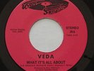 Modern Soul Boogie VEDA What It's All About / Ain't Nothing But A Party 45 HEAR