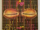 Gilberto Gil Jorge Ben Ogum Xango Philips 2 LP Samba Soul Funk