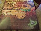 ROY HARPER - FLAT BAROQUE AND BERSERK VINYL LP BRAND NEW AND SEALED