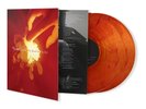 NICKEL CREEK Why Should the Fire Die Reissue Color Vinyl LP SOLD OUT