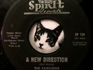 FAIRVIEWS & FIFTH DIMENSION New Direction / Discumboober 45 1967 Garage Rock