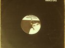 maxi 45t france gall - musique - promo - pro75 1977