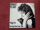 ROBERT PLANT Pledge pin / burning down one side FRENCH ONLY PROMO Led Zeppelin