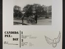 CANDIDA PAX: day Shadoks Music 12
