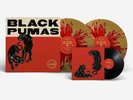 VINYL HIP HOP RAP RECORD E