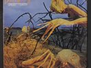 DIXIE DREGS: dregs of the earth ARISTA 12