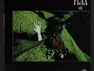 FLAX: one Vertigo 12