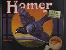 HOMER: grown in u.s.a. Akarma 12