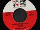 EMANUEL LASKY: lucky to be loved by you Wild Deuce Records 7