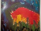 Meat Puppets - Meat Puppets II original Vinyl LP 1984 [SST 019] VG+/VG+